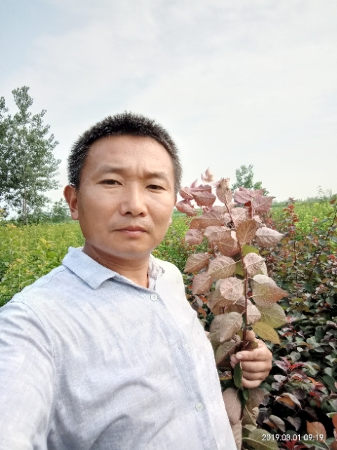 孩子爸的第二张照片--江苏父母相亲团